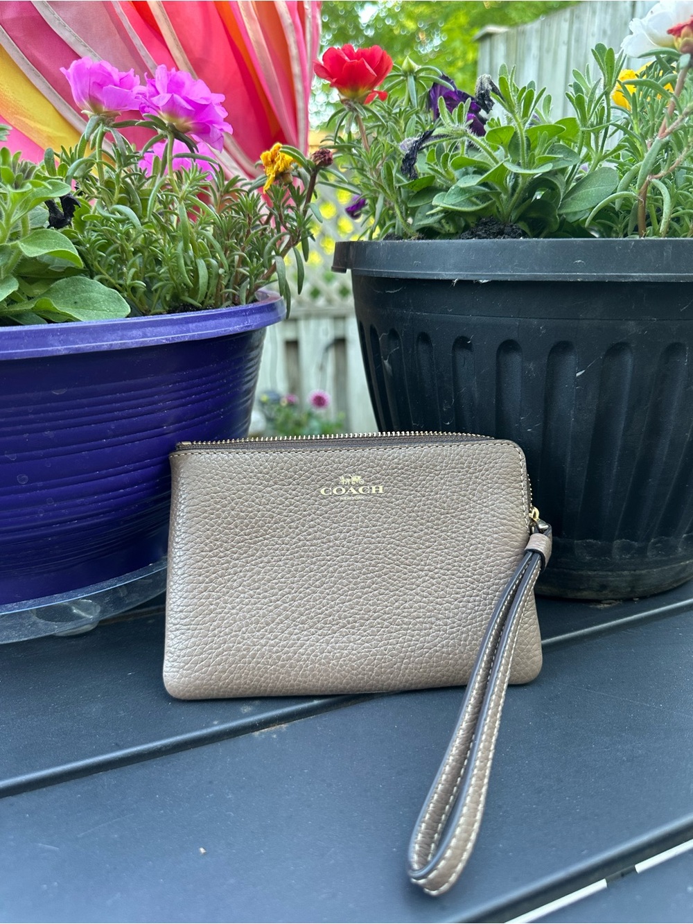 Coach Corner Zip Wristlet taupe